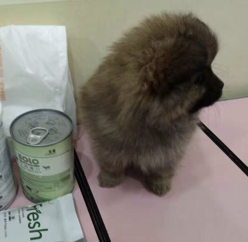乐隆隆